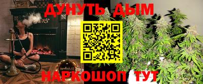 индика Балахна