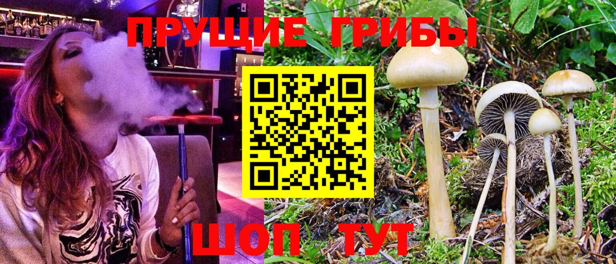 Воскресенск  Галлюциногенные грибы мицелий  Вход с VPN 