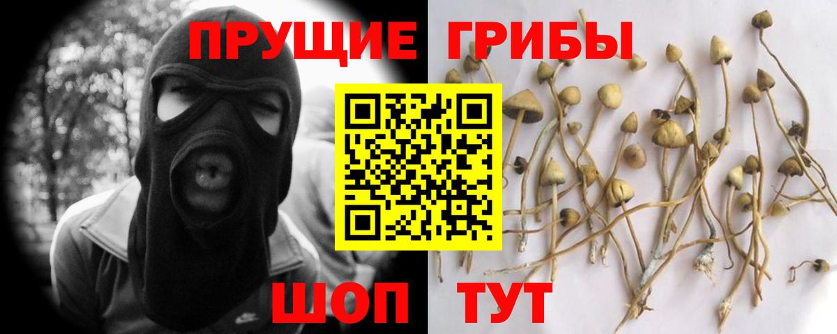 Псилоцибиновые грибы GOLDEN TEACHER Воскресенск
